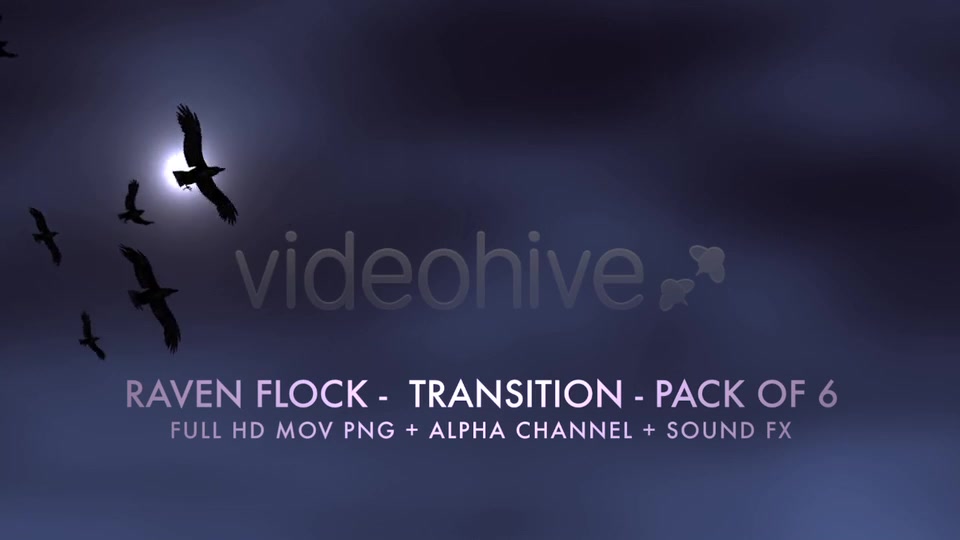 Raven Flock Transition Pack of 6 Videohive 5480778 Motion Graphics Image 6