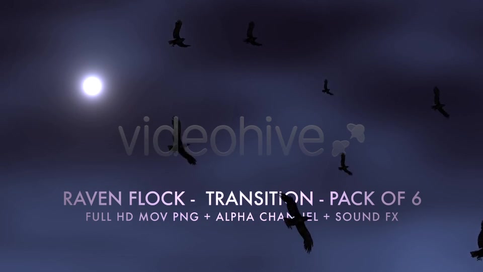 Raven Flock Transition Pack of 6 Videohive 5480778 Motion Graphics Image 7