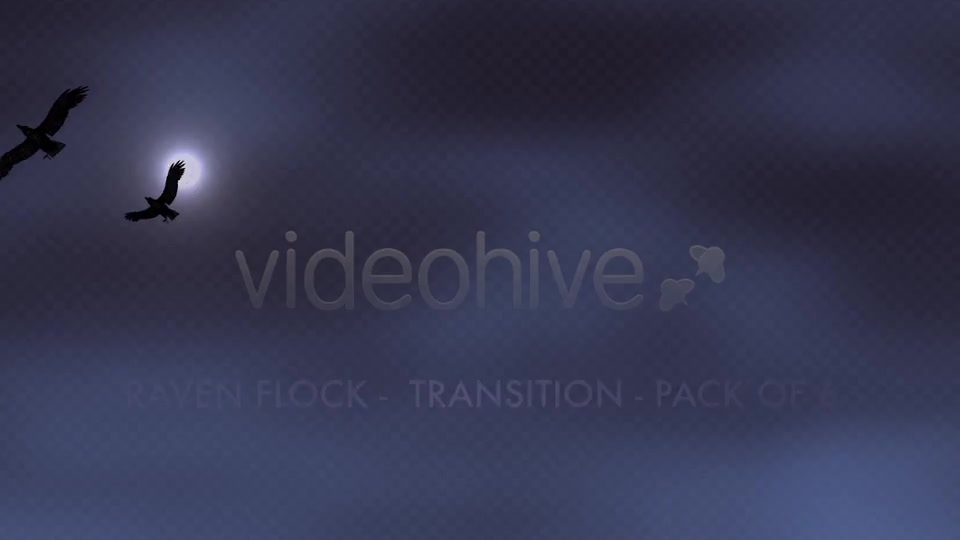 Raven Flock Transition Pack of 6 Videohive 5480778 Motion Graphics Image 9