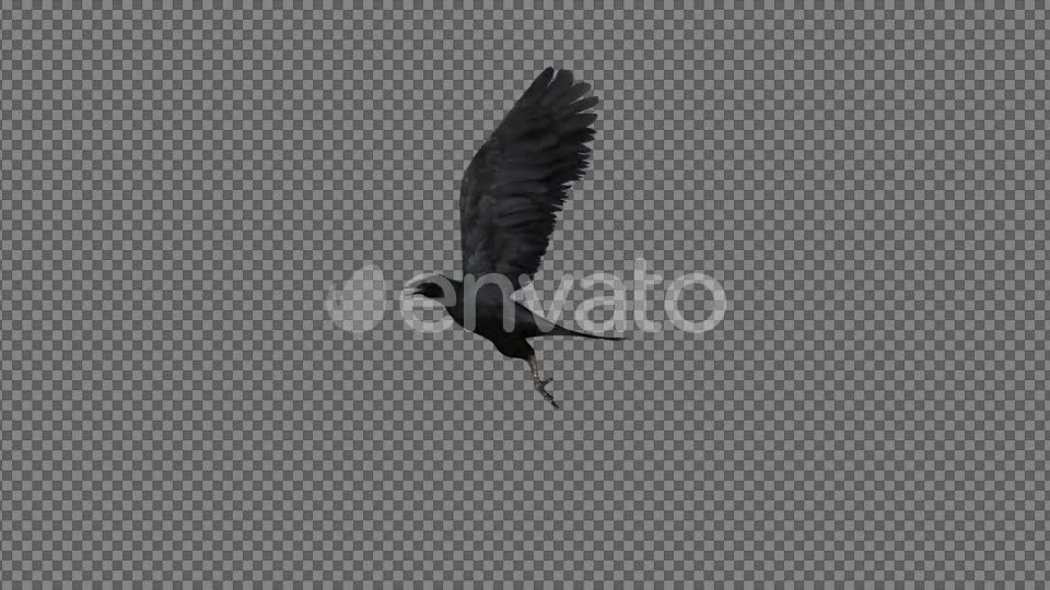 Raven Flying Videohive 21614892 Motion Graphics Image 2