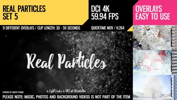 Real Particles (4K Set 5) - Download Videohive 22613096