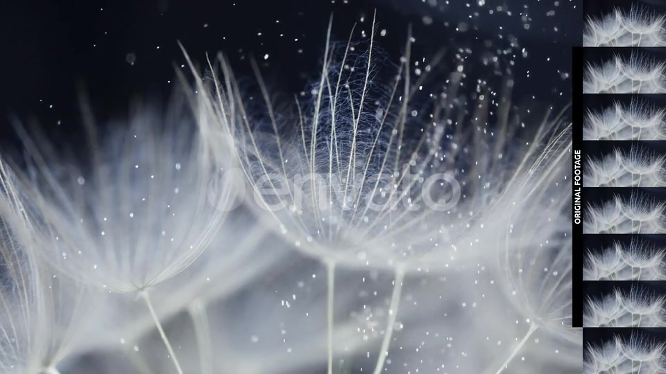 Real Particles (HD Set 4) Videohive 22622438 Motion Graphics Image 9