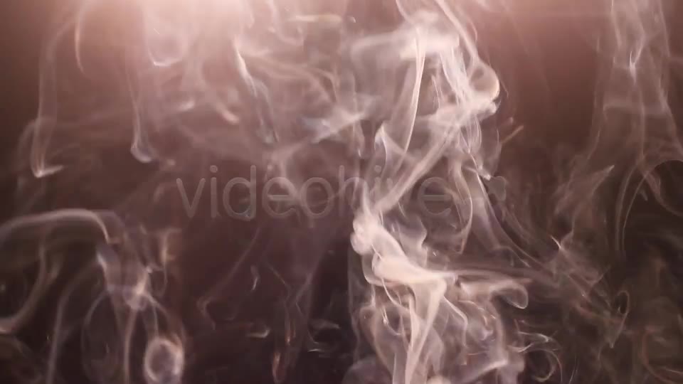 Real Smoke Videohive 7888983 Motion Graphics Image 11