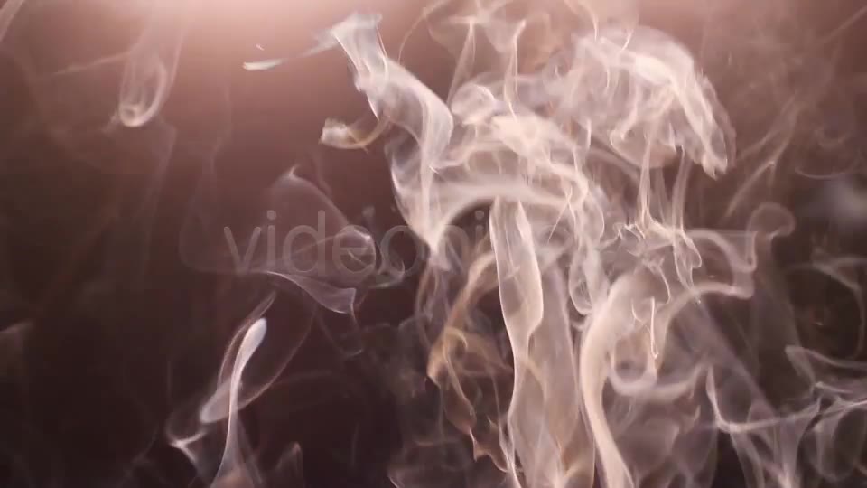 Real Smoke Videohive 7888983 Motion Graphics Image 12