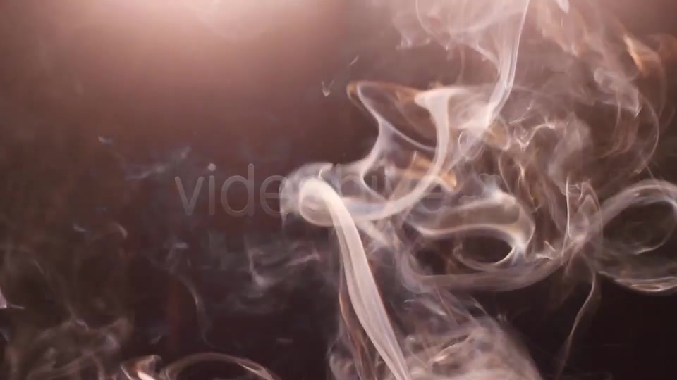 Real Smoke Videohive 7888983 Motion Graphics Image 3