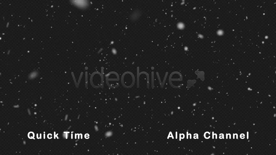 Real Snow Falling Videohive 21023584 Motion Graphics Image 10