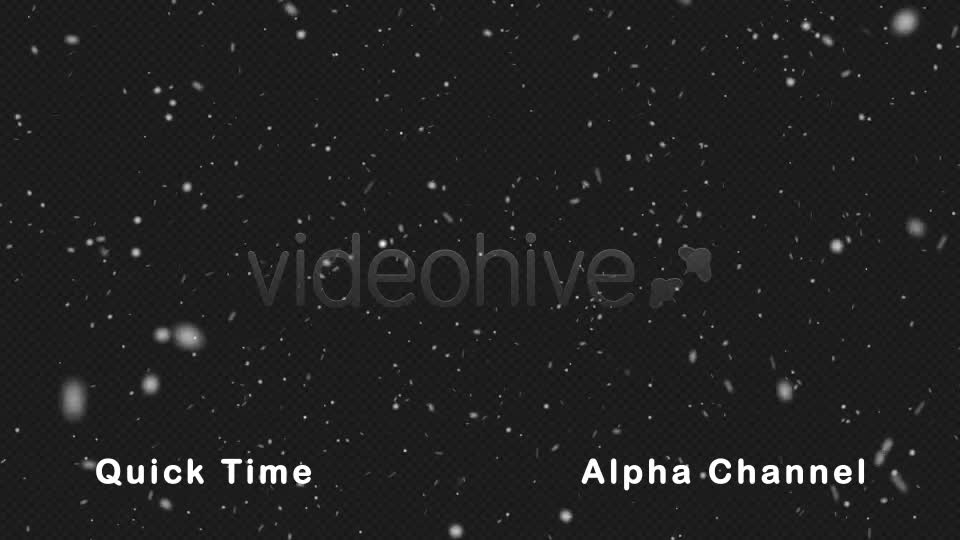 Real Snow Falling Videohive 21023584 Motion Graphics Image 11