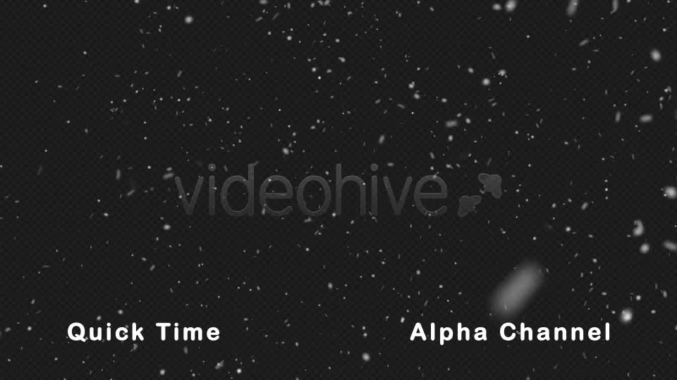 Real Snow Falling Videohive 21023584 Motion Graphics Image 12