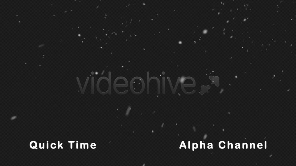 Real Snow Falling Videohive 21023584 Motion Graphics Image 2