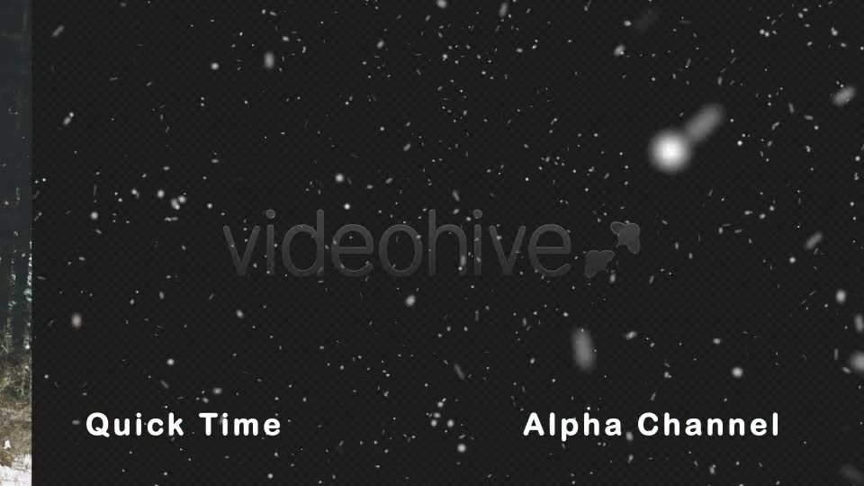 Real Snow Falling Videohive 21023584 Motion Graphics Image 8