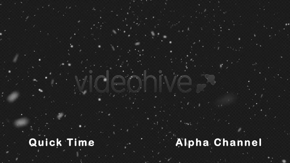 Real Snow Falling Videohive 21023584 Motion Graphics Image 9