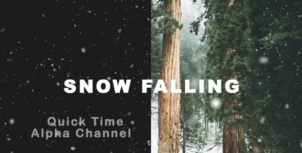 Real Snow Falling - 21023584 Download Videohive