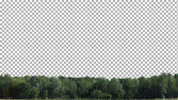 Real Trees Isolated 1 (Medium Wind) - 10562575 Videohive Download