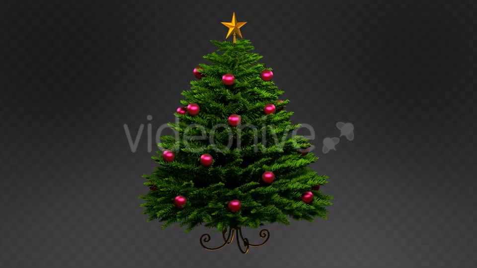 Realistic Christmas Tree Rotation Videohive 13639924 Motion Graphics Image 5