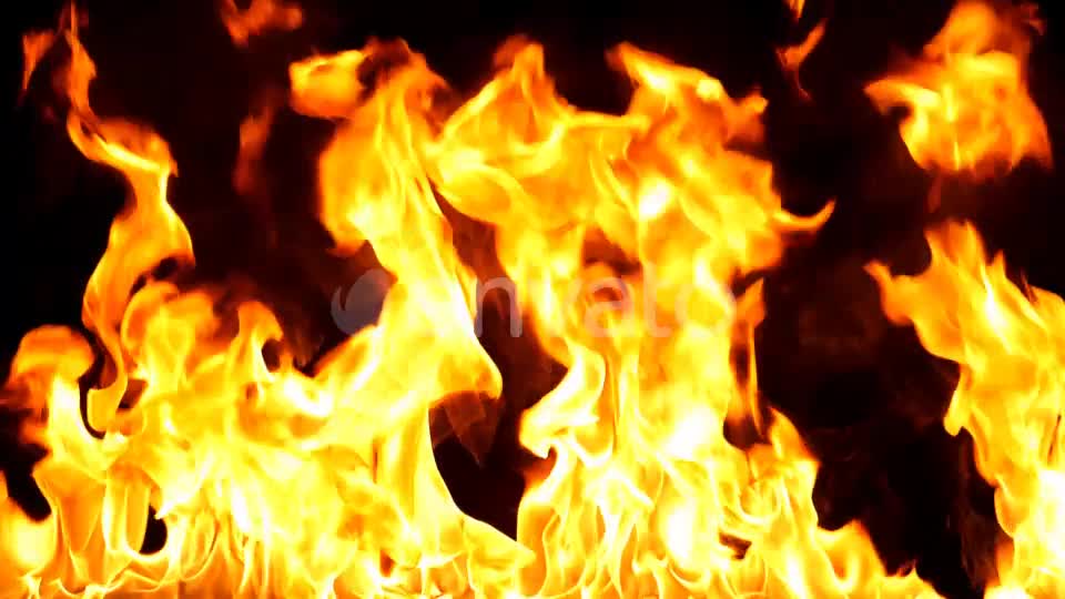 Realistic Fire Line in Super Slow Motion Alpha Channel v.13 Videohive 21993788 Motion Graphics Image 1