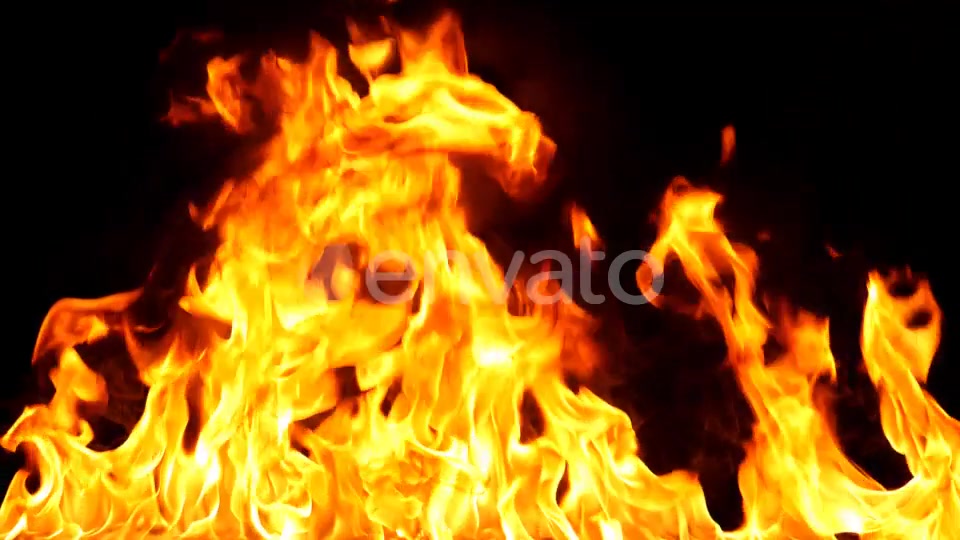 Realistic Fire Line in Super Slow Motion Alpha Channel v.13 Videohive 21993788 Motion Graphics Image 11
