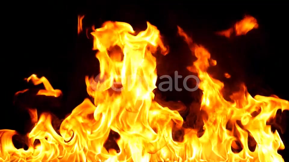 Realistic Fire Line in Super Slow Motion Alpha Channel v.13 Videohive 21993788 Motion Graphics Image 12