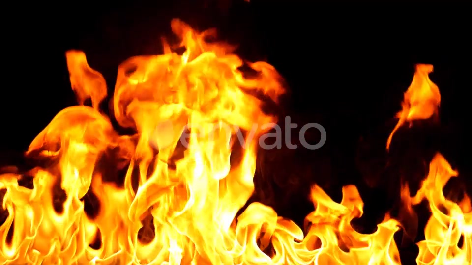 Realistic Fire Line in Super Slow Motion Alpha Channel v.13 Videohive 21993788 Motion Graphics Image 6