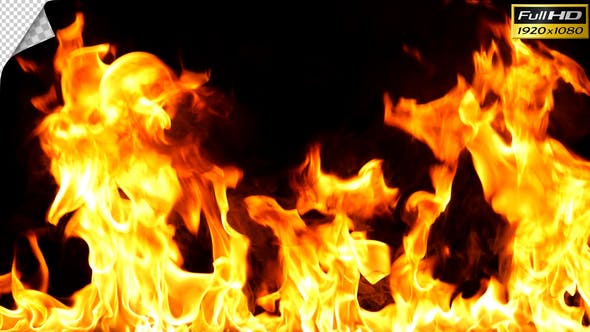 Realistic Fire Line in Super Slow Motion Alpha Channel v.13 - 21993788 Videohive Download