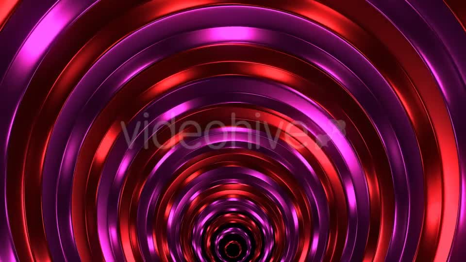 Red And Purple Rings Videohive 18094124 Motion Graphics Image 1