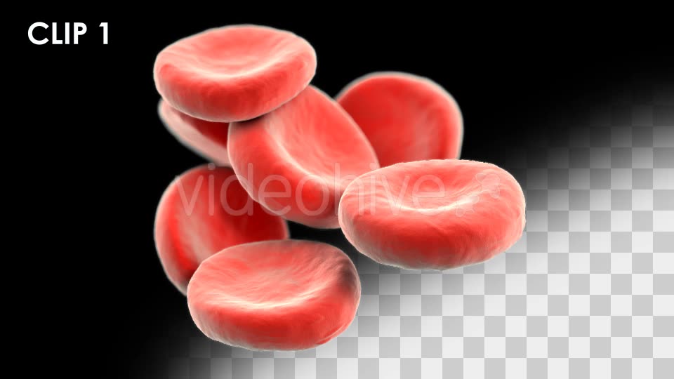 Red Blood Cells Detailed Pack Videohive 13026143 Motion Graphics Image 2