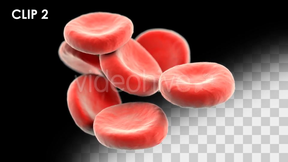 Red Blood Cells Detailed Pack Videohive 13026143 Motion Graphics Image 3