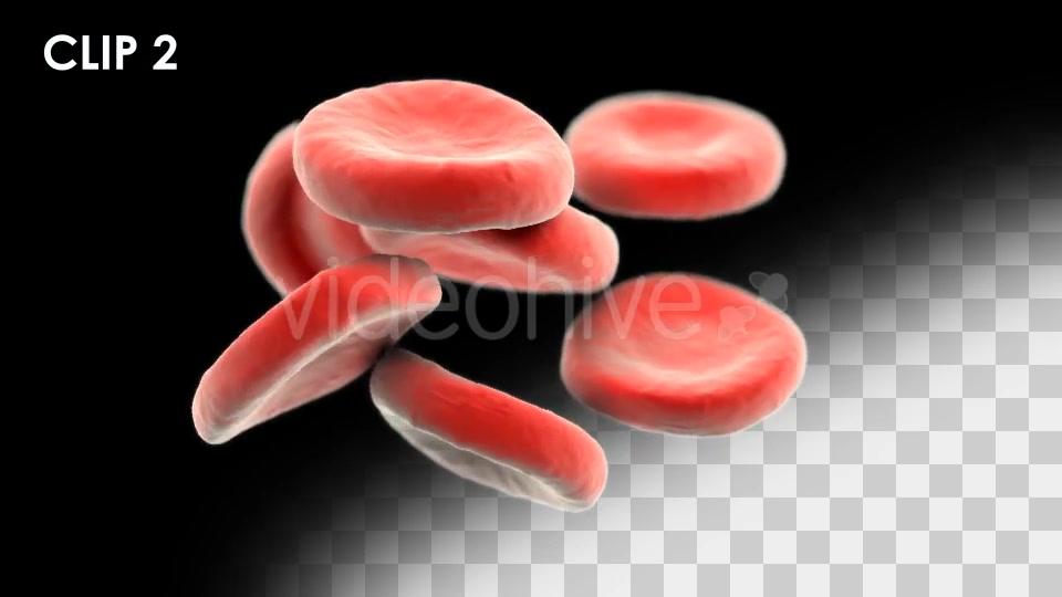 Red Blood Cells Detailed Pack Videohive 13026143 Motion Graphics Image 4
