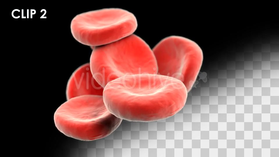 Red Blood Cells Detailed Pack Videohive 13026143 Motion Graphics Image 7