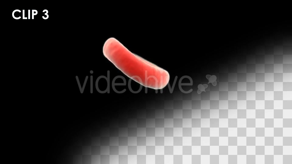 Red Blood Cells Detailed Pack Videohive 13026143 Motion Graphics Image 8
