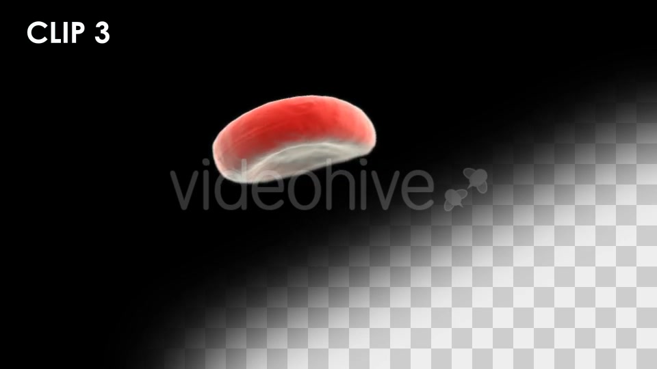 Red Blood Cells Detailed Pack Videohive 13026143 Motion Graphics Image 9