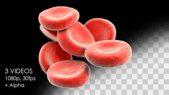 Red Blood Cells Detailed Pack - 13026143 Videohive Download