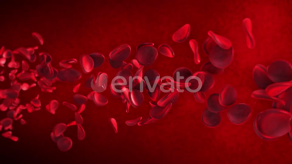 Red Blood Cells Videohive 23089141 Motion Graphics Image 1