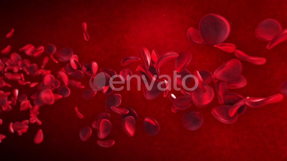 Red Blood Cells Videohive 23089141 Motion Graphics Image 10