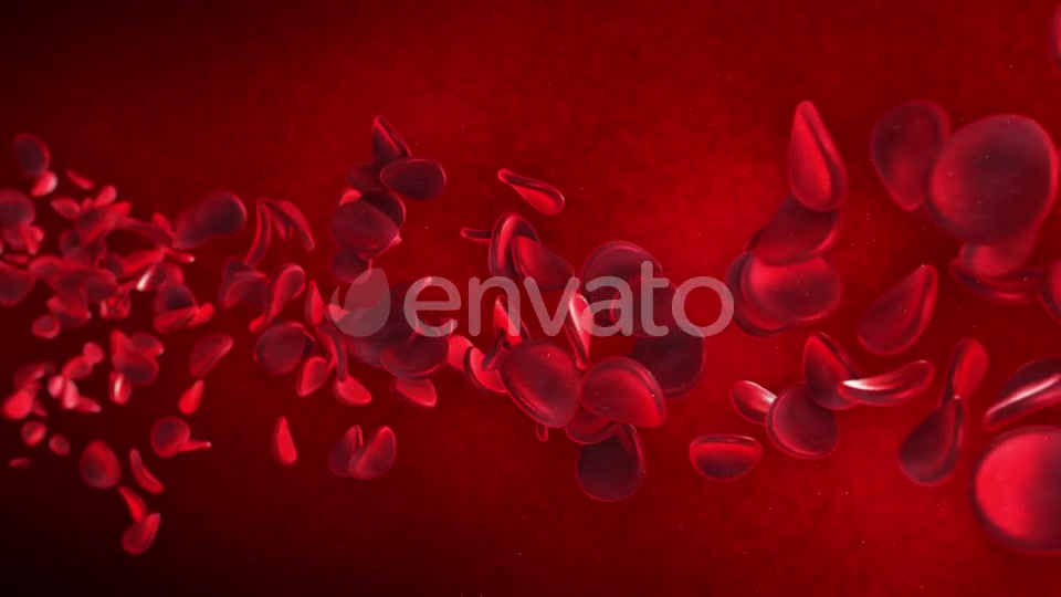 Red Blood Cells Videohive 23089141 Motion Graphics Image 2