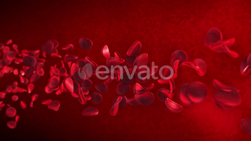 Red Blood Cells Videohive 23089141 Motion Graphics Image 3