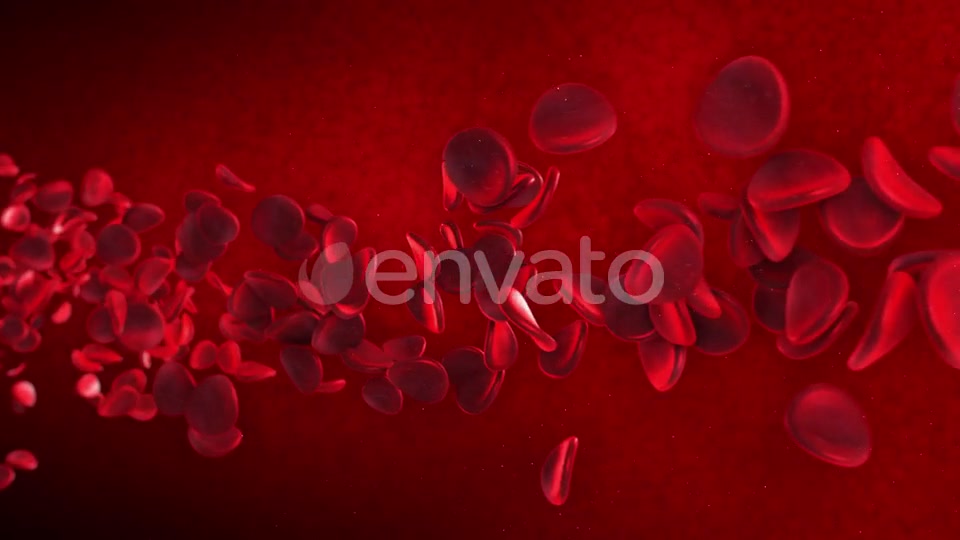 Red Blood Cells Videohive 23089141 Motion Graphics Image 4