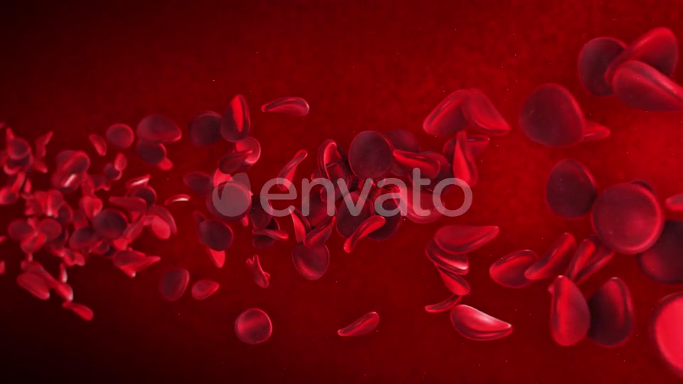 Red Blood Cells Videohive 23089141 Motion Graphics Image 5