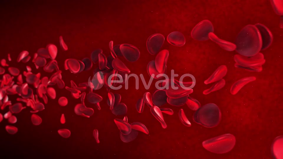 Red Blood Cells Videohive 23089141 Motion Graphics Image 6