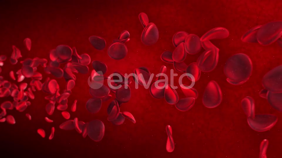 Red Blood Cells Videohive 23089141 Motion Graphics Image 7