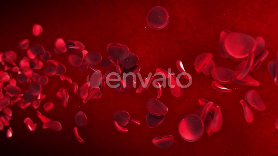 Red Blood Cells Videohive 23089141 Motion Graphics Image 9