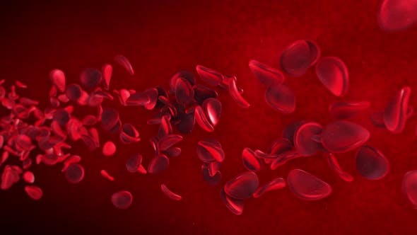 Red Blood Cells - Download 23089141 Videohive