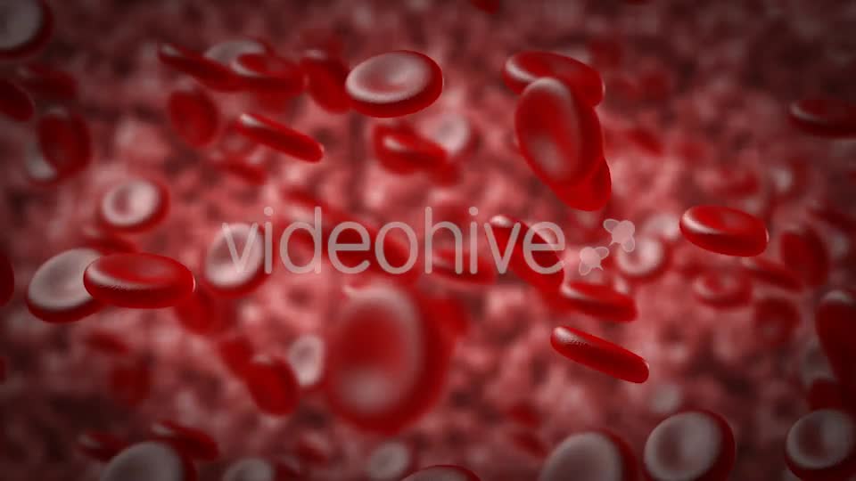 Red Blood Cells In An Artery Videohive 14930712 Motion Graphics Image 1
