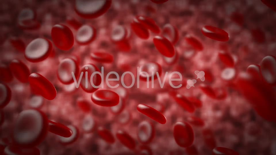 Red Blood Cells In An Artery Videohive 14930712 Motion Graphics Image 2