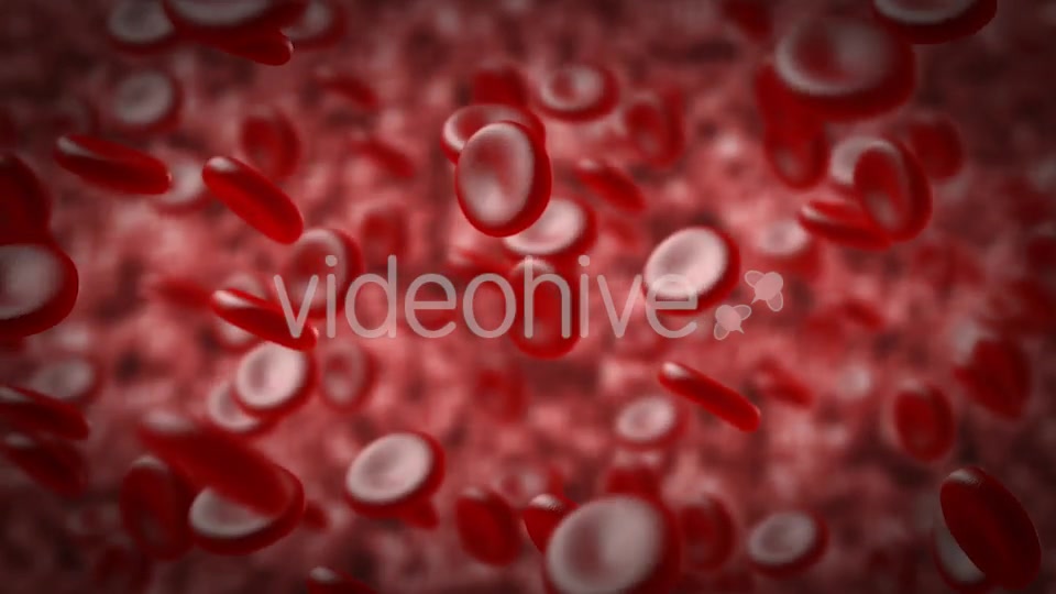 Red Blood Cells In An Artery Videohive 14930712 Motion Graphics Image 3