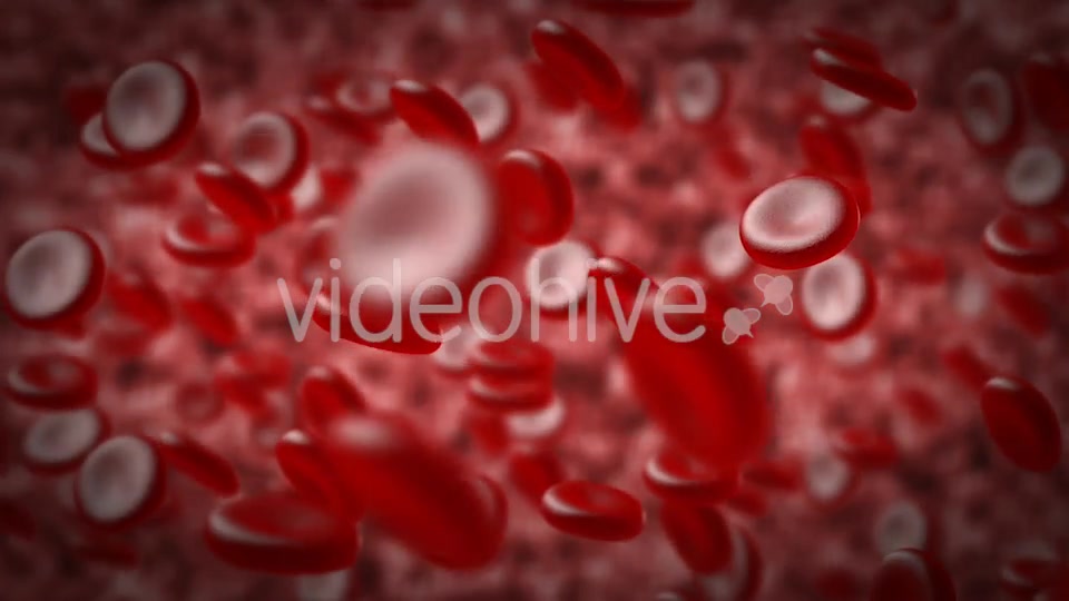 Red Blood Cells In An Artery Videohive 14930712 Motion Graphics Image 4