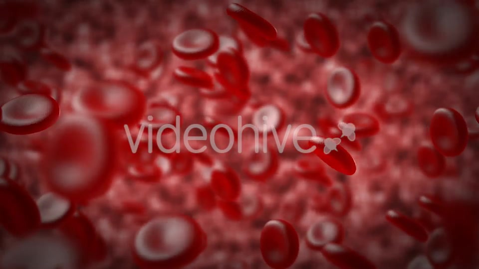 Red Blood Cells In An Artery Videohive 14930712 Motion Graphics Image 5