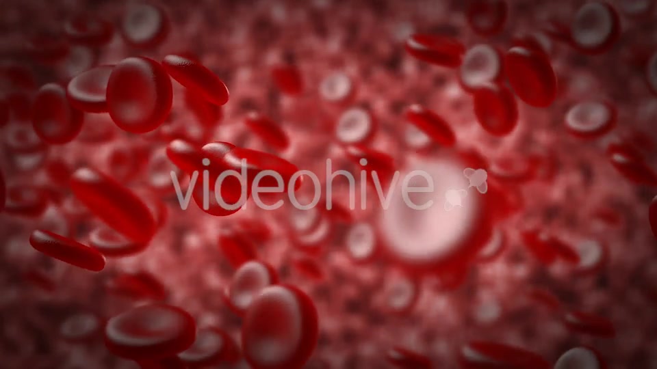 Red Blood Cells In An Artery Videohive 14930712 Motion Graphics Image 6