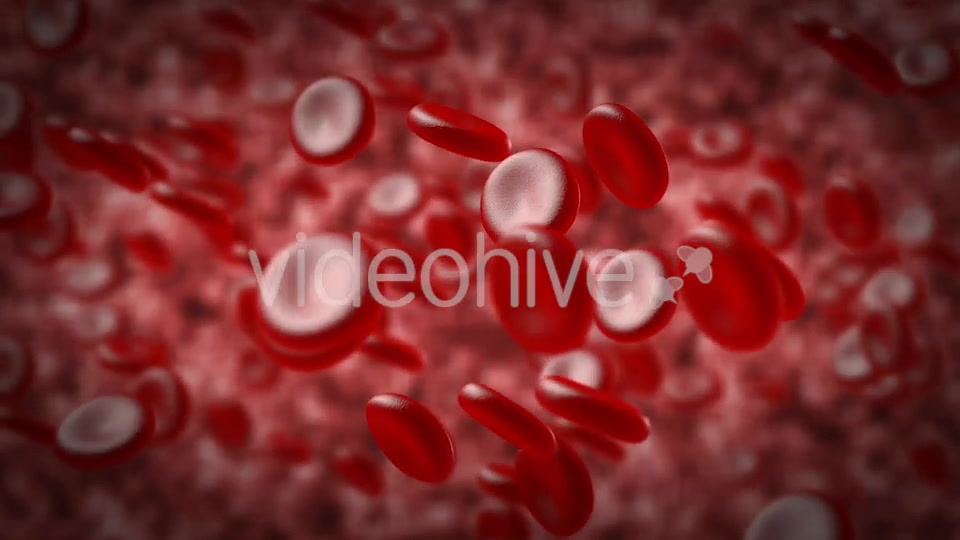 Red Blood Cells In An Artery Videohive 14930712 Motion Graphics Image 7