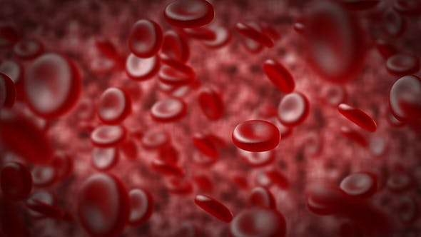 Red Blood Cells In An Artery - Videohive Download 14930712