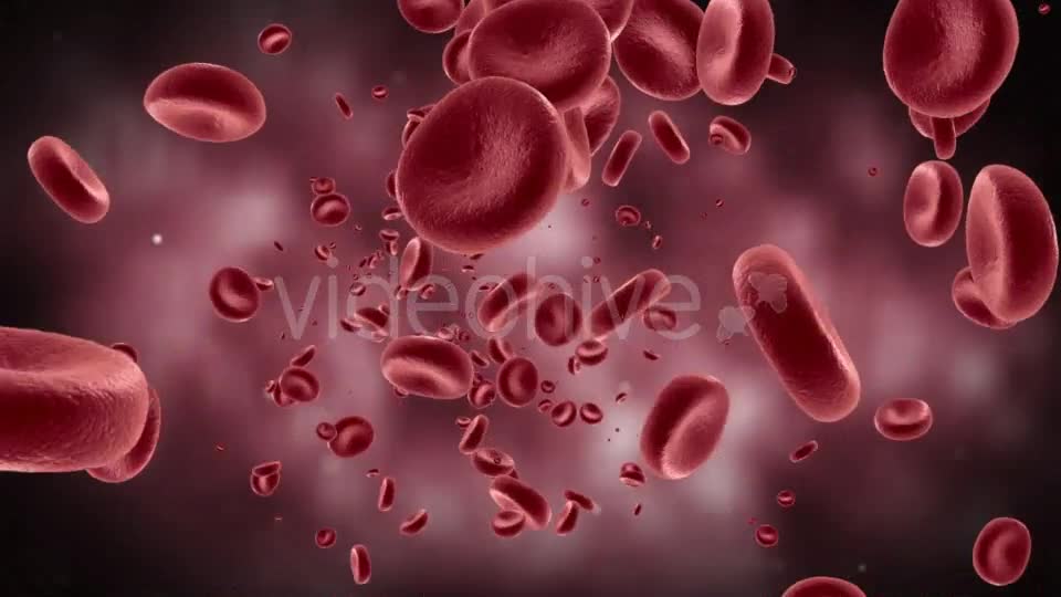 Red Blood Cells In Artery Videohive 11349135 Motion Graphics Image 1